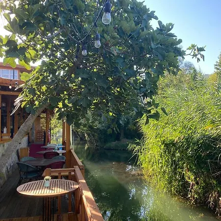 Three Palms Apartment