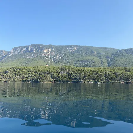 Three Palms Apartment Akyaka (Mugla)