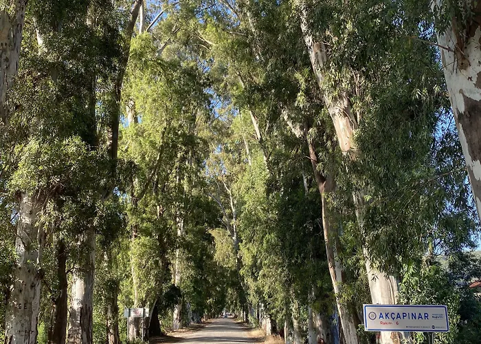 Apartment Three Palms Akyaka (Mugla)