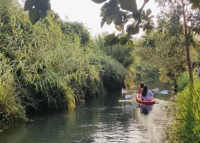 Three Palms Apartment Akyaka (Mugla)