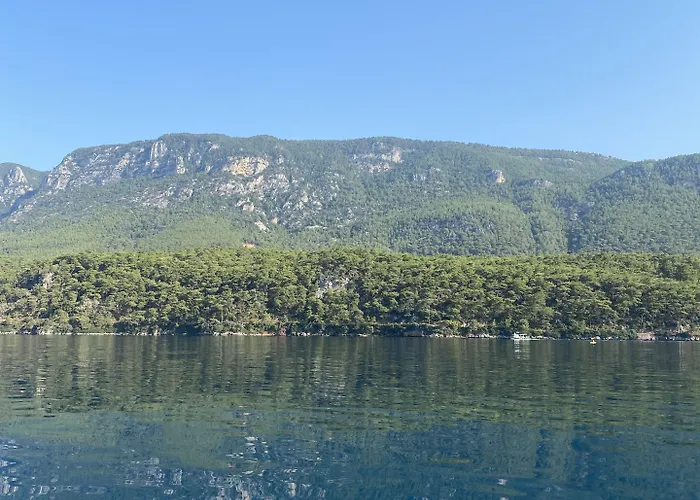 Three Palms Apartment Akyaka (Mugla)